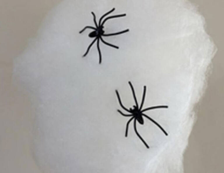 Spidey Candy Floss Rental Singapore