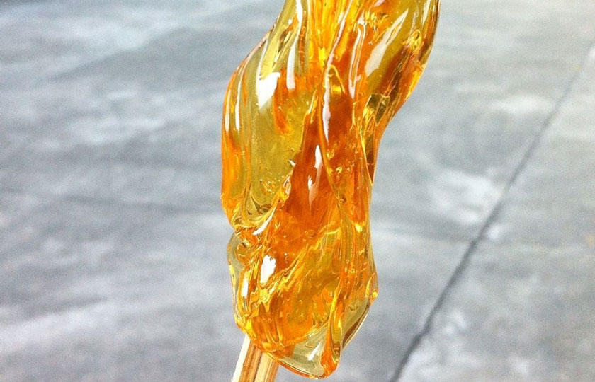 Malt Candy Rental Singapore