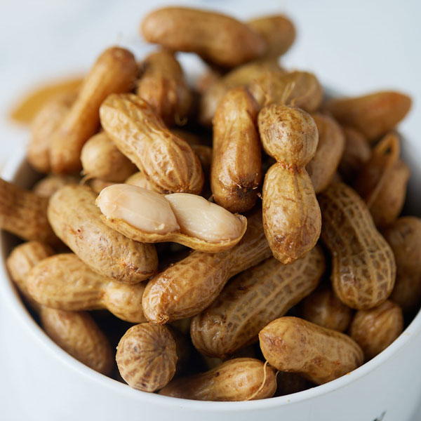 Steam Peanuts Live Station Rental Singapore