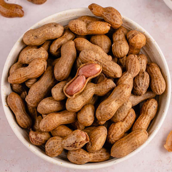 Steam Peanuts Live Station Rental Singapore