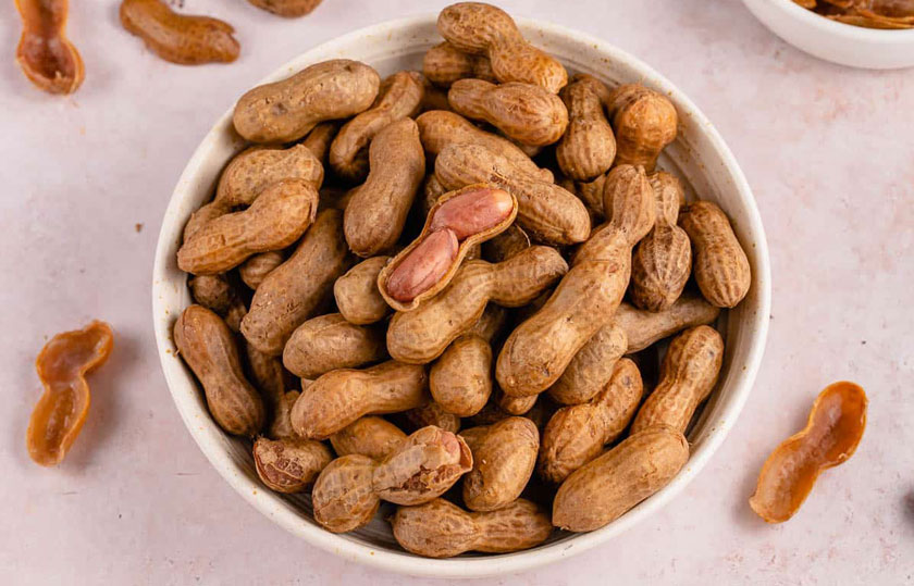 Steam Peanuts Live Station Rental Singapore